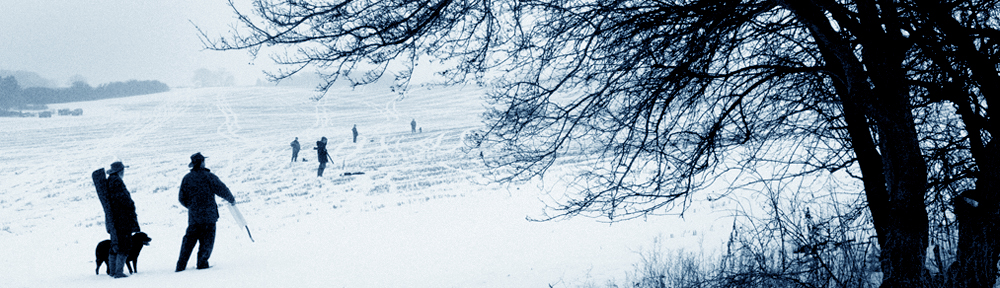 The Sporting Picture