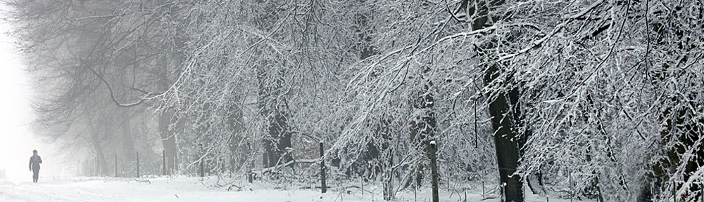 The Sporting Picture