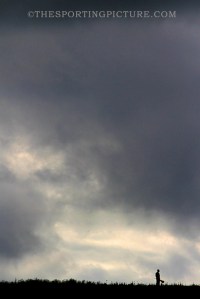 FINE ART THE SPORTING PICTURE 020ML