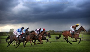FINE ART THE SPORTING PICTURE 036ML