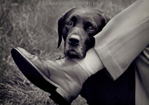 FINE ART THE SPORTING PICTURE 037ML