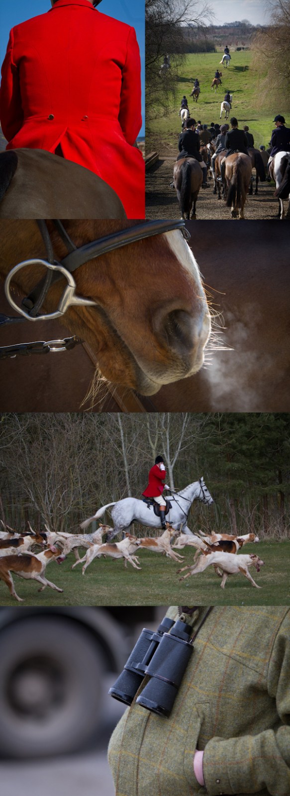 Fox Hunt Photography 4