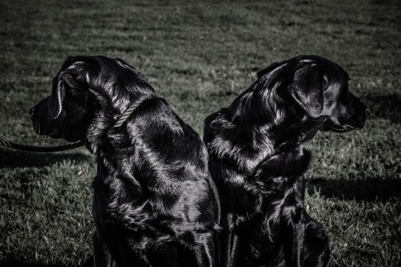 URGD-ML-IMG_4102_033